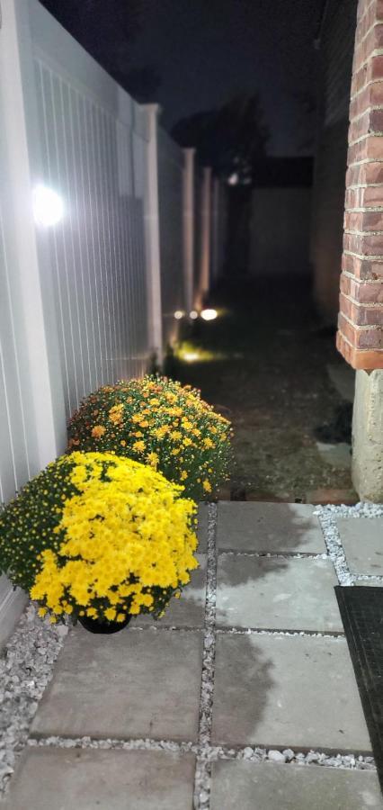 Eleg Stu Apt With Lux Amnts Steps Frm Nautical Mile فريبورت المظهر الخارجي الصورة